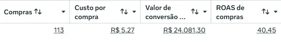 Print do gerenciador: 113 compras, custo por compra R$ 5,27, valor de conversão R$ 24.081,30 e ROAS 40,45